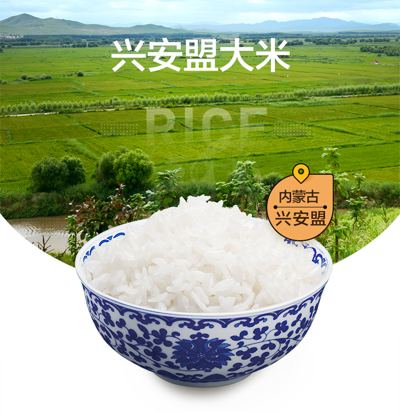 内蒙古二龙屯兴安盟大米 5kg(图1)