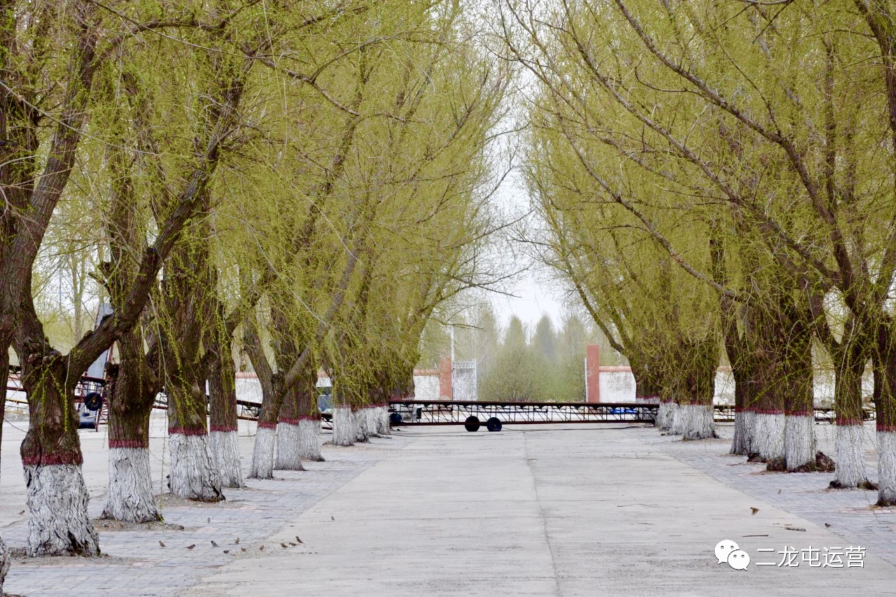 春暖花开，未来可期(图7)