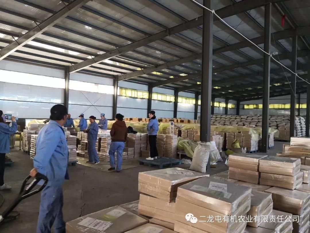2019扶贫攻坚公益直播,兴安盟二龙屯大米销量突破45000件(图2) 2019扶贫攻坚公益直播,兴安盟二龙屯大米销量突破45000件(图2)