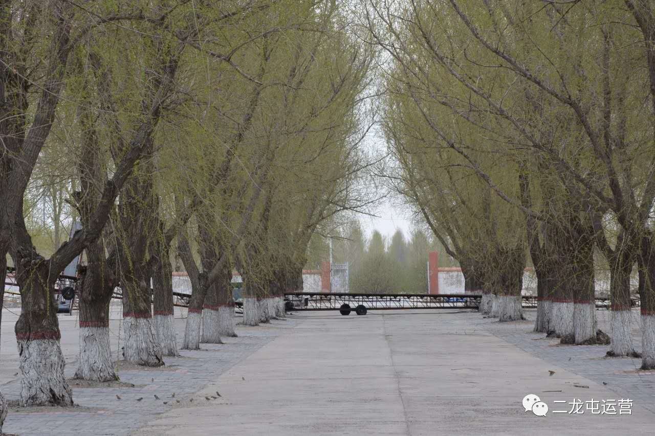 春暖花开，未来可期(图5)