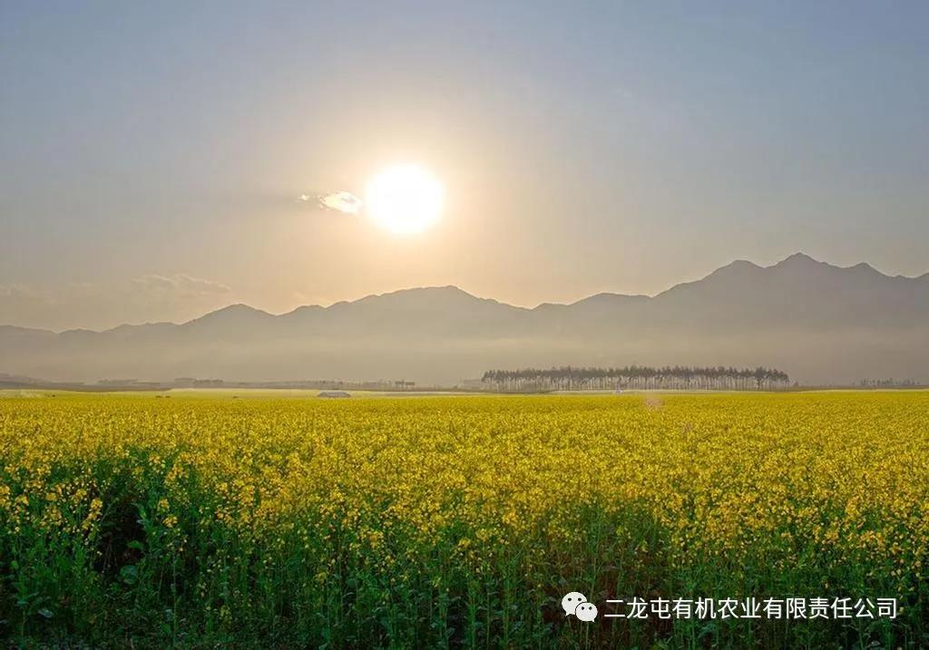 贡献力量 旨为绽放(图5)