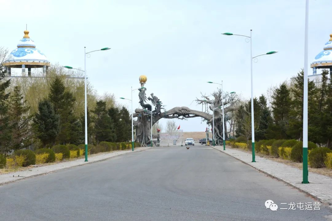 春暖花开，未来可期(图3)