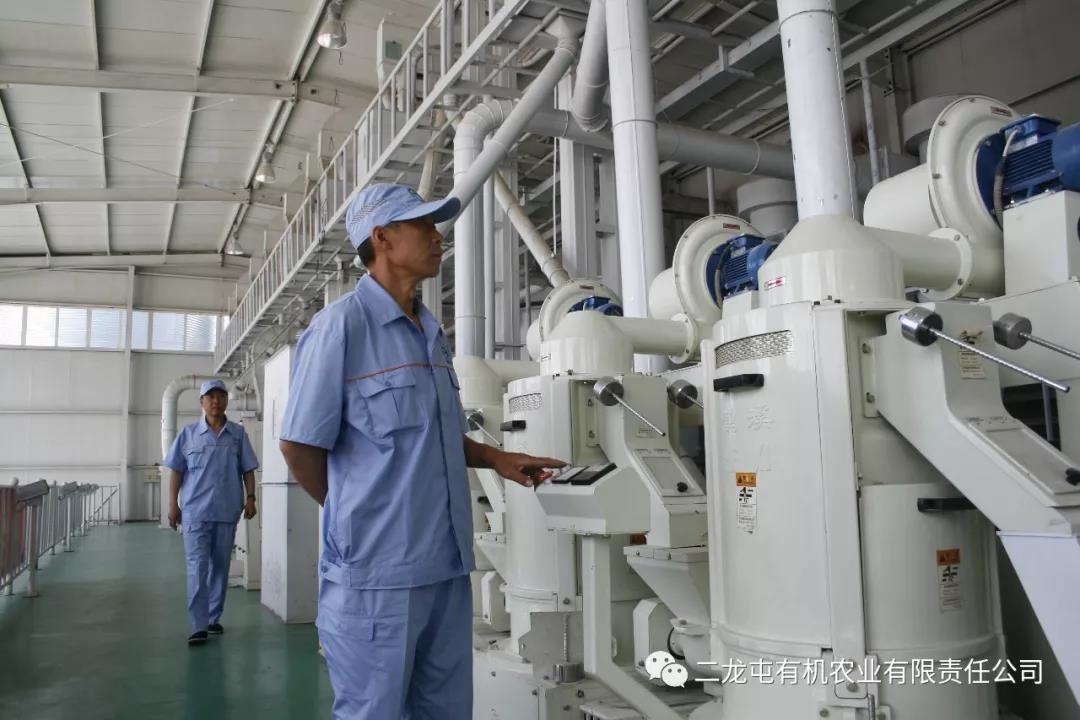 2019扶贫攻坚公益直播,兴安盟二龙屯大米销量突破45000件(图1) 2019扶贫攻坚公益直播,兴安盟二龙屯大米销量突破45000件(图1)