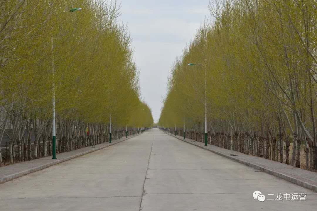 春暖花开，未来可期(图4)