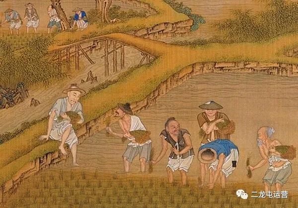 产品推荐之兴安盟大米(图2) 产品推荐之兴安盟大米(图2)