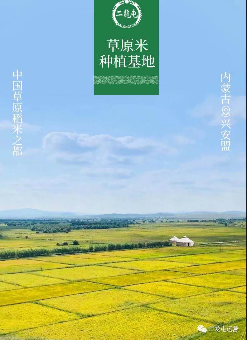 产品推荐之兴安盟大米(图7) 产品推荐之兴安盟大米(图7)