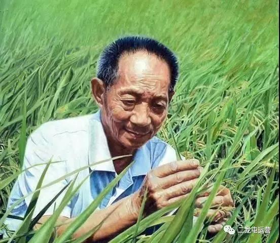 产品推荐之兴安盟大米(图3) 产品推荐之兴安盟大米(图3)